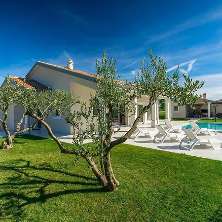 Civitan With Infinity Pool In Novigrad Villa *