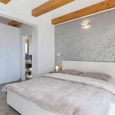 Civitan With Infinity Pool In Novigrad Villa
